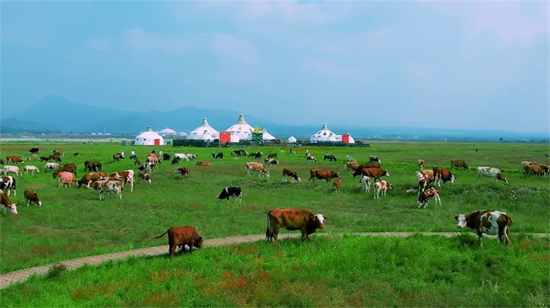 Hohhot: Historische Stadt an der Zehntausend-Meilen-Tee-Route